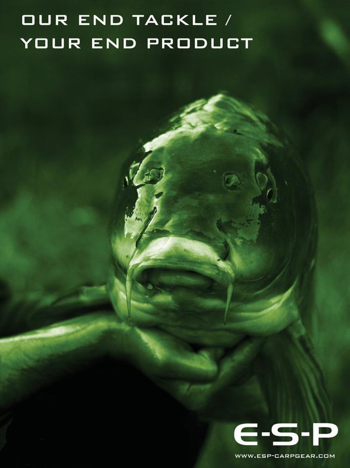 E-S-P - 10195101515931255647391106732563n.jpg